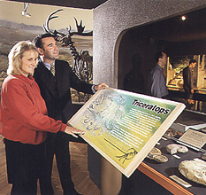 Museumsgraphiken
